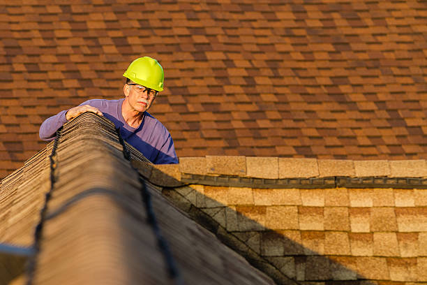Best Roof Repair Services  in Dale, PA